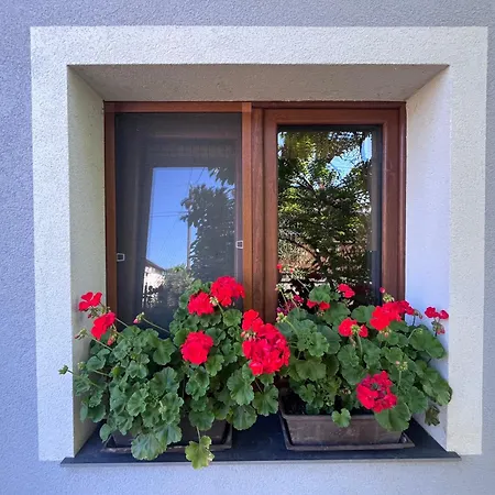 Apartment Vadkoerte Balaton Balatonfůzfő