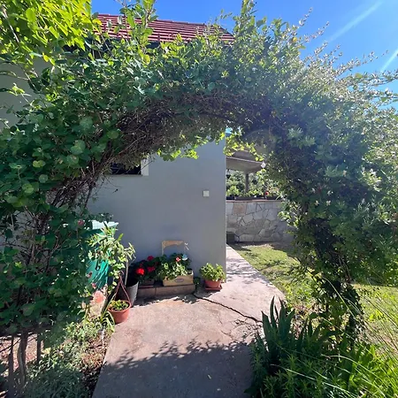 Vadkoerte Balaton Apartmán